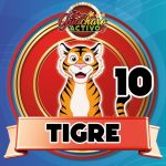 10 Tigre Guacharo