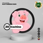 20-cochino-Lotto